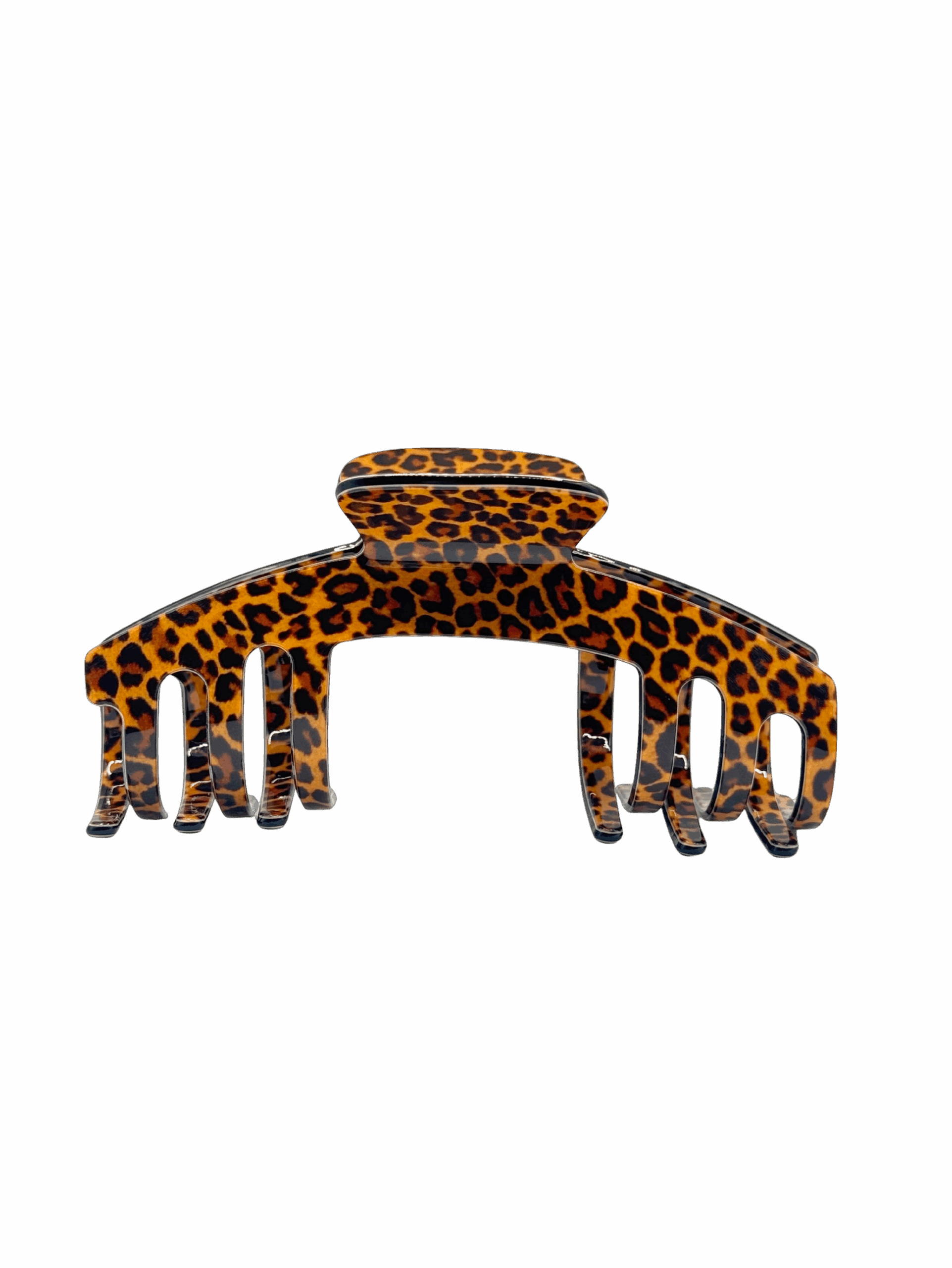 The Alexus image 0